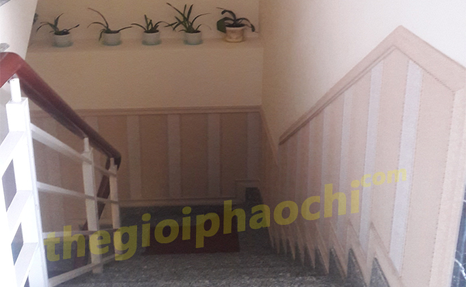Vẻ Đẹp Sang Trọng Từ Tấm Lamri Nhựa Ốp Tường Nhập Khẩu Hàn Quốc